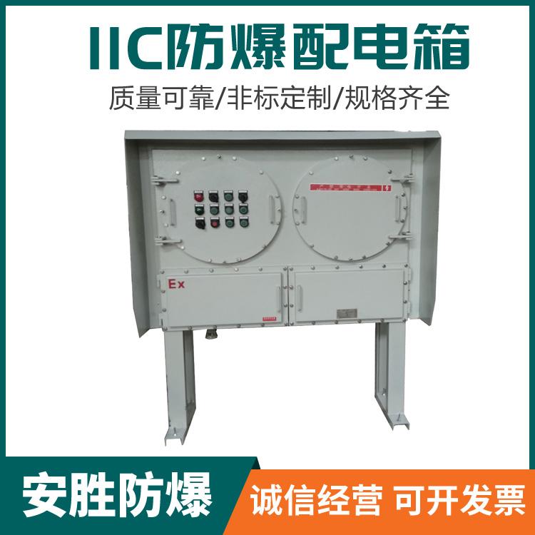 IIC防爆配电箱 定制防爆配电箱